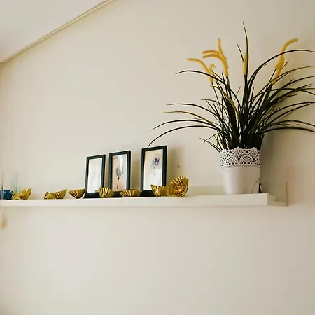 La Cotera Vut * Colombres